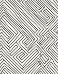 Abstract Black White Maze Line Rug