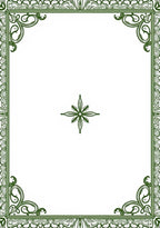 Ornate Green Filigree Border Star Rug