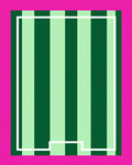 Bright Pink Green Vertical Stripe Border Rug