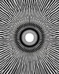 Modern Black Sunburst Ray Rug