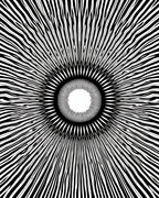 Modern Black Sunburst Ray Rug