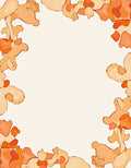 Warm Coral Organic Border Rug