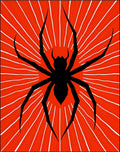 Bold Black Spider Burst Rug