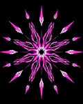 Vibrant Pink Starburst Bloom Rug