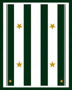 Elegant Green White Striped Star Rug