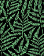 Light Green Fern Forest Black Rug