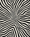 Bold Black White Animal Stripe Rug