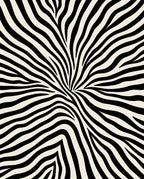 Bold Black White Animal Stripe Rug