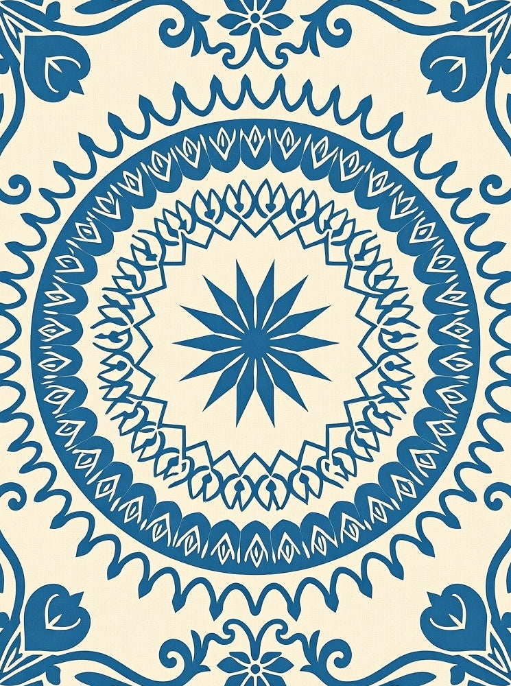 Classic Blue Cream Medallion Overlay Rug
