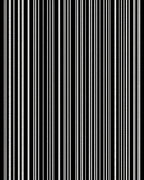 Neutral Black White Stripe Texture Rug