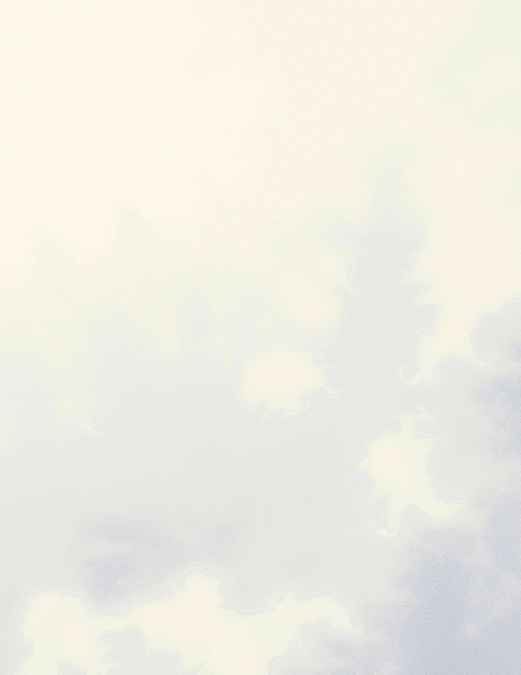 Soft White Cloudscape Impressionistic Rug