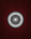 Crimson Radial Burst Flower Rug