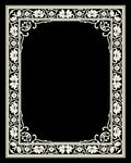 Cream Floral Vine Border Rug