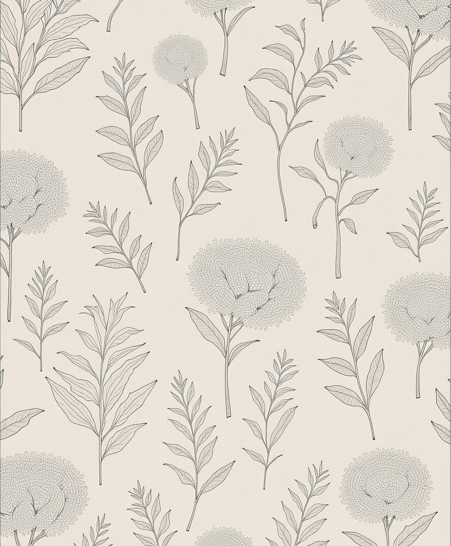 Botanical Line Art Floral Cream Rug