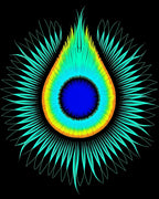 Vibrant Teal Rainbow Peacock Eye Rug