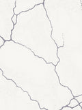 Pale Gray Veined Marble Surface Rug