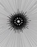 Black Starburst Sunburst Graphic Rug