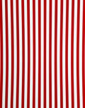 Bold Red White Stripe Rug