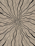 Black Abstract Radial Lines Contemporary Rug