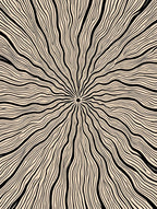 Black Abstract Radial Lines Contemporary Rug