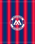 Bold Red Blue Stripe Emblem Rug
