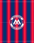 Bold Red Blue Stripe Emblem Rug