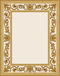 Golden Baroque Floral Scroll Frame Rug