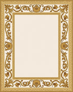 Golden Baroque Floral Scroll Frame Rug