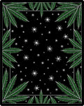 Green Frond Black Starry Night Rug