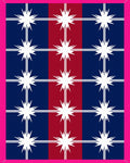 Navy Red White Starburst Grid Rug