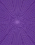 Radiating Purple Sunburst Rug