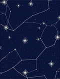 Deep Blue Constellation Night Sky Rug