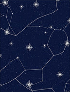 Deep Blue Constellation Night Sky Rug