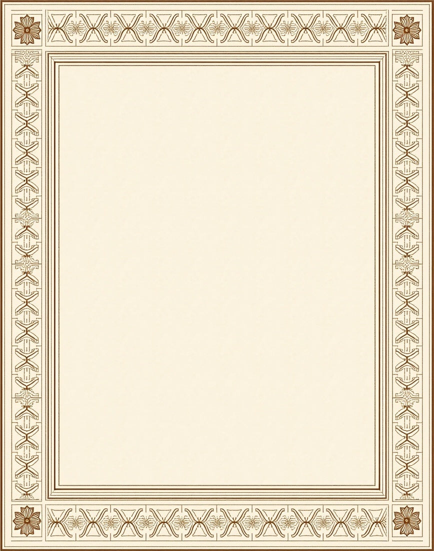 Ornate Cream Brown Geometric Border Rug