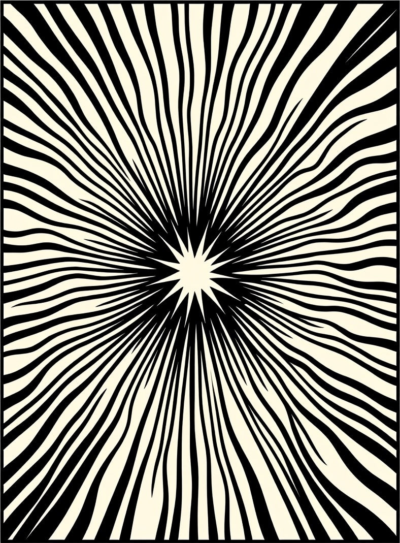 Radiant Black And Cream Sunburst Rug