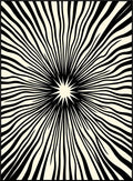 Radiant Black And Cream Sunburst Rug
