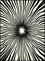 Radiant Black And Cream Sunburst Rug