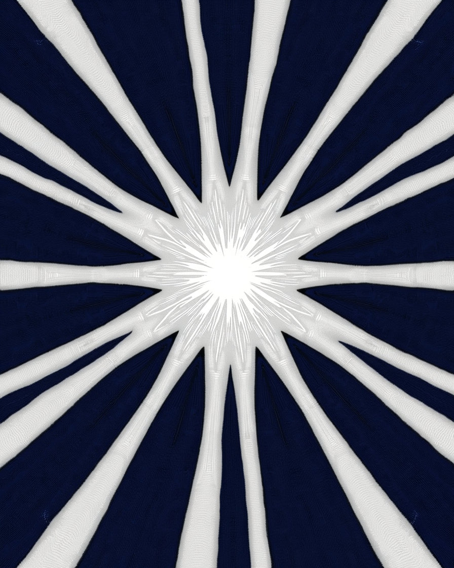 Radiant Starburst Navy White Rug
