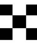 Classic Black White Checkered Square Rug