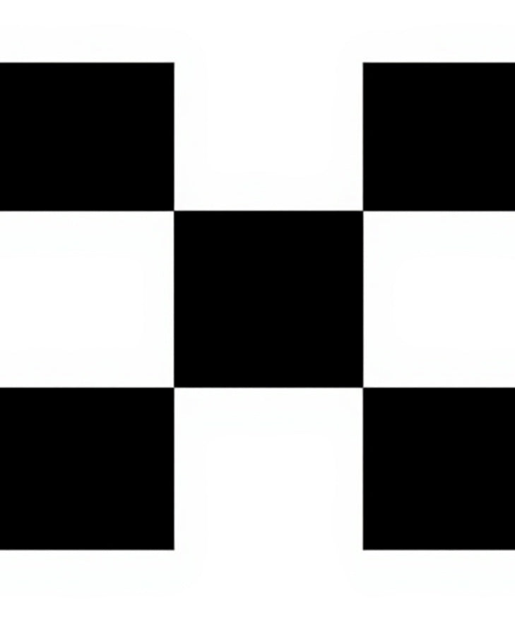 Classic Black White Checkered Square Rug