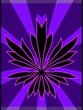 Vibrant Purple Sunburst Floral Rug