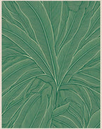 Green Tropical Leaf Line Art Rug
