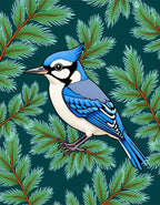Blue Jay Amongst Evergreen Branches Rug