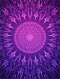Vibrant Purple Gradients Radial Bloom Rug