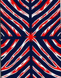 Bold Crimson Starburst Diagonal Stripes Rug