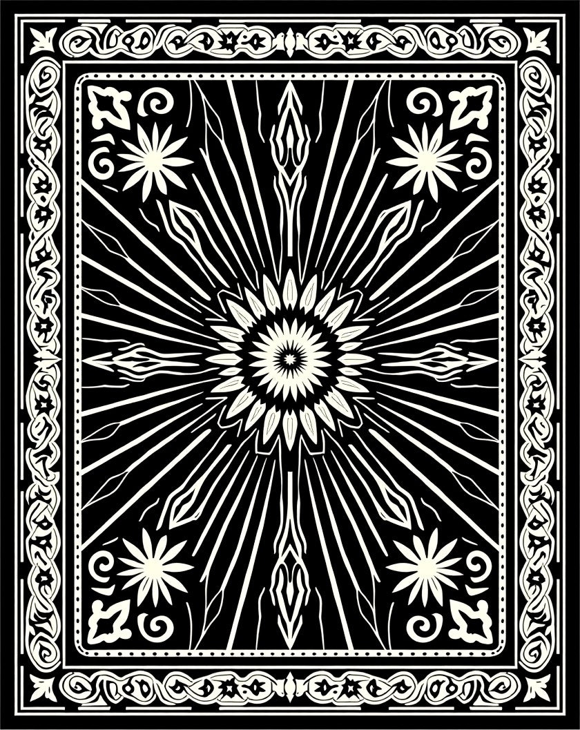 Bold Black White Abstract Starburst Rug