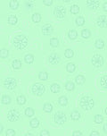 Mint Green Floral Scatter Rug