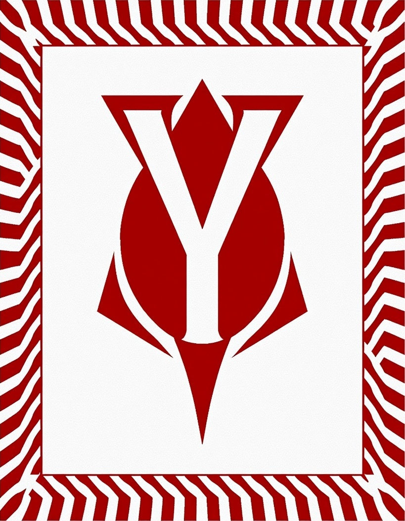 Bold Red White Geometric Chevron Rug