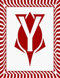 Bold Red White Geometric Chevron Rug