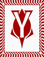 Bold Red White Geometric Chevron Rug